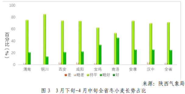 xiaomai3.png