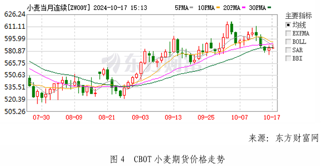 xiaomai4.jpg