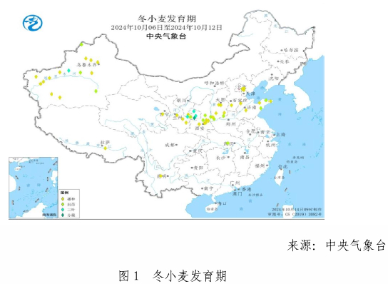xiaomai1.jpg